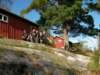 sany0449_small.jpg