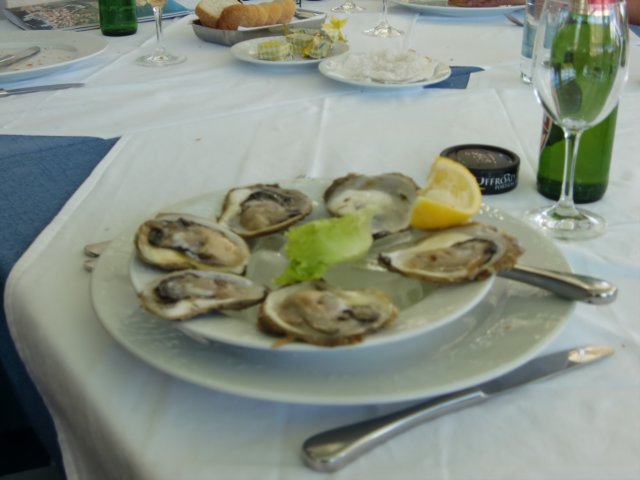 cimg0974.jpg