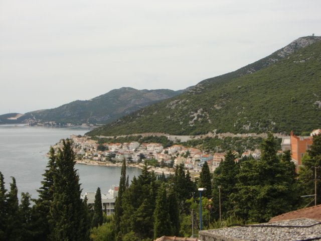 cimg1118.jpg
