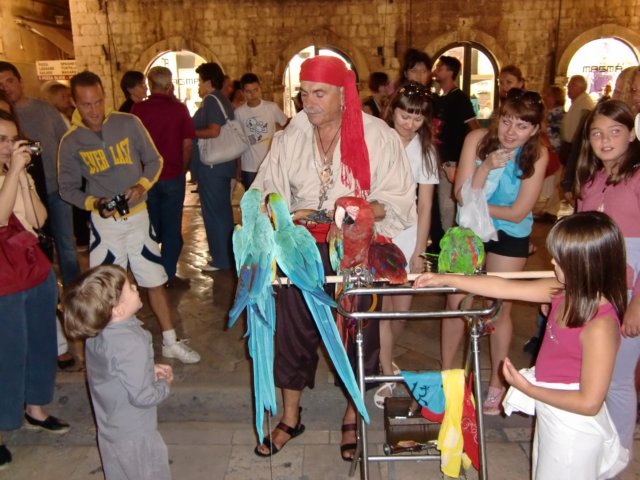 cimg1136.jpg
