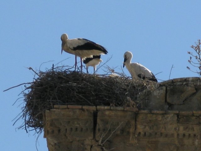 photo27.jpg