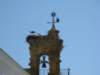 photo28_small.jpg
