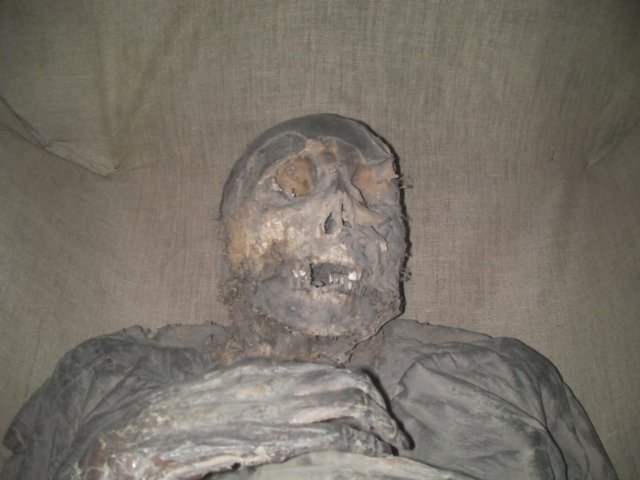 photo110.jpg