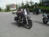 photo47_small.jpg