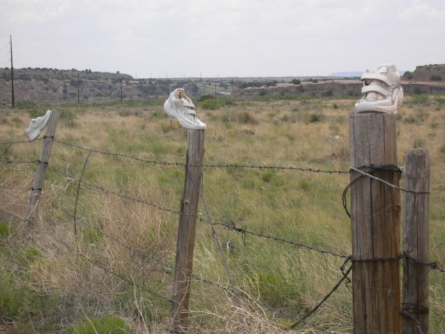 photo114.jpg