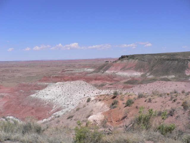 photo141.jpg