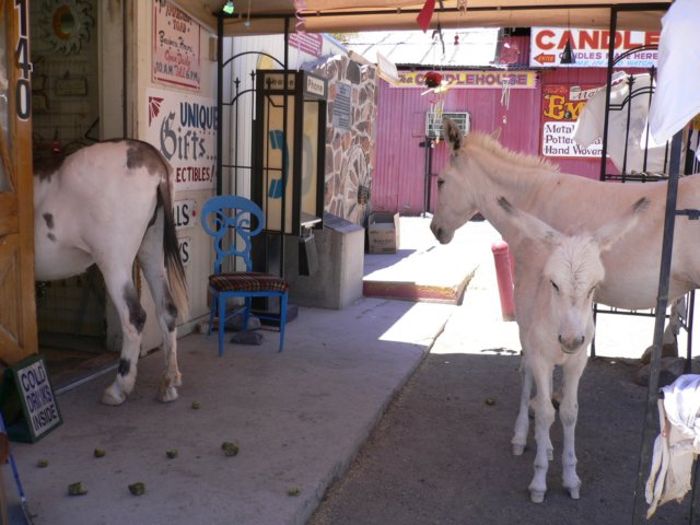 photo171.jpg